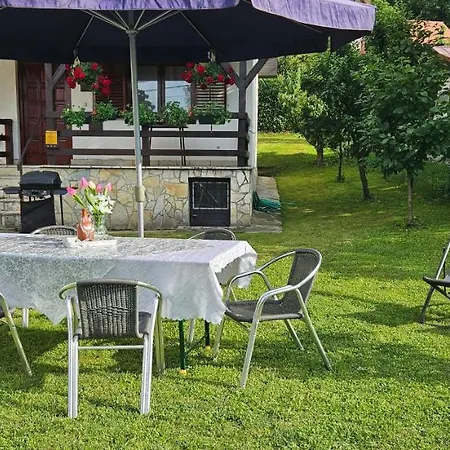 Lena Banja Vrujci * Berkovac
